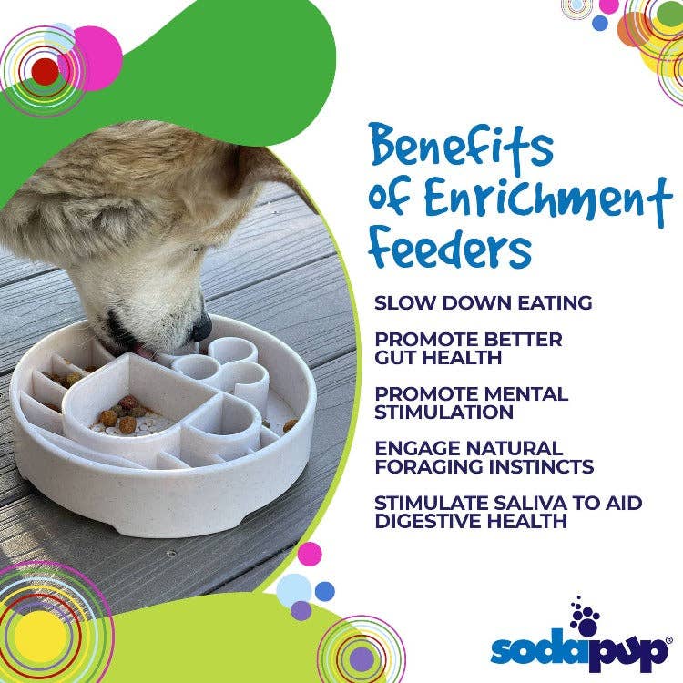Slow Feeder Bowl | Promotes Healthy Eating | Reduces Bloating and Overeating