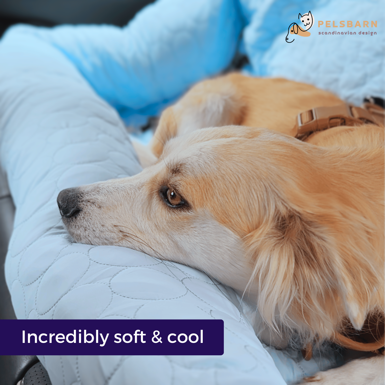 Cooling Car Bed for Dogs| Comfortable & Portable