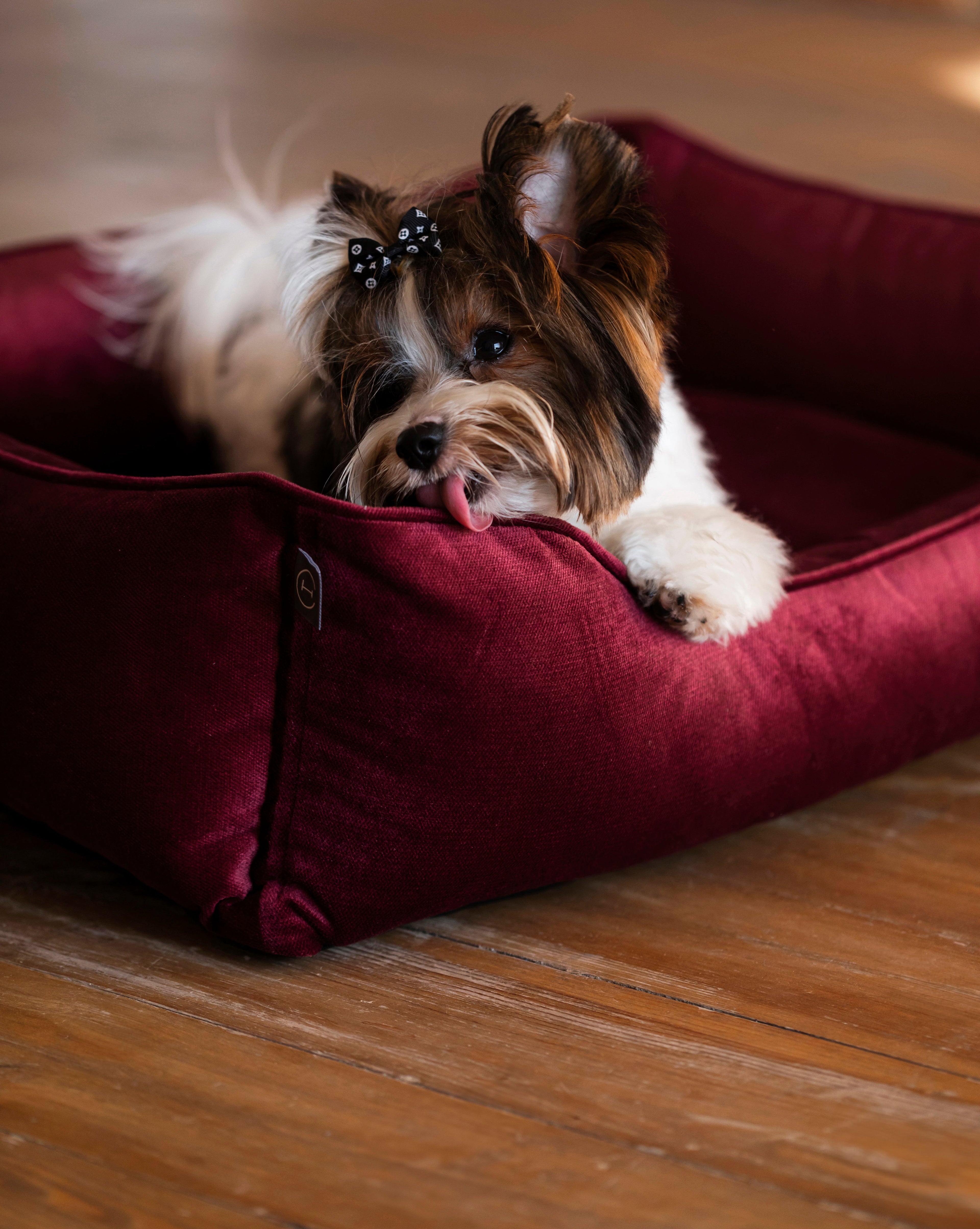 Vibrant Velvet Dog Bed | Cozy Comfort | Stylish Design | Easy to Clean