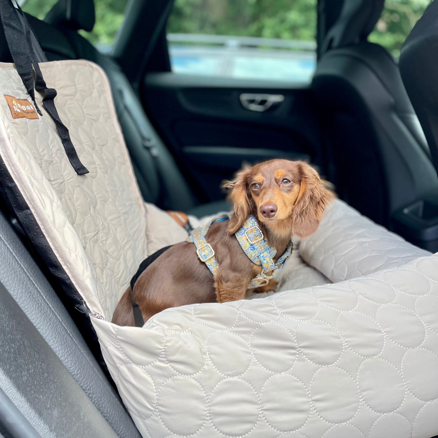 Cooling Car Bed for Dogs| Comfortable & Portable