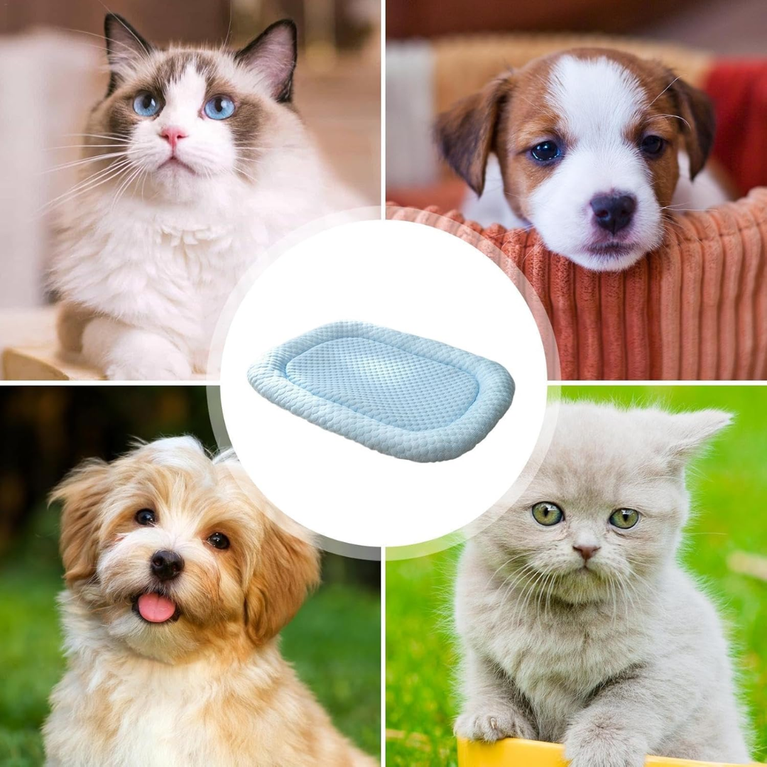 Ice-Silk Cooling Pet Bed | Breathable Comfort | Ideal for Hot Weather