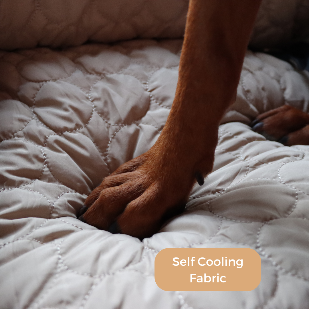Cooling Car Bed for Dogs| Comfortable & Portable