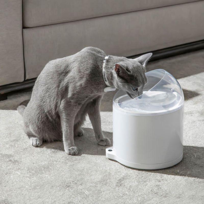 Water Fountain | Ultra-Filtration | Wireless Pump