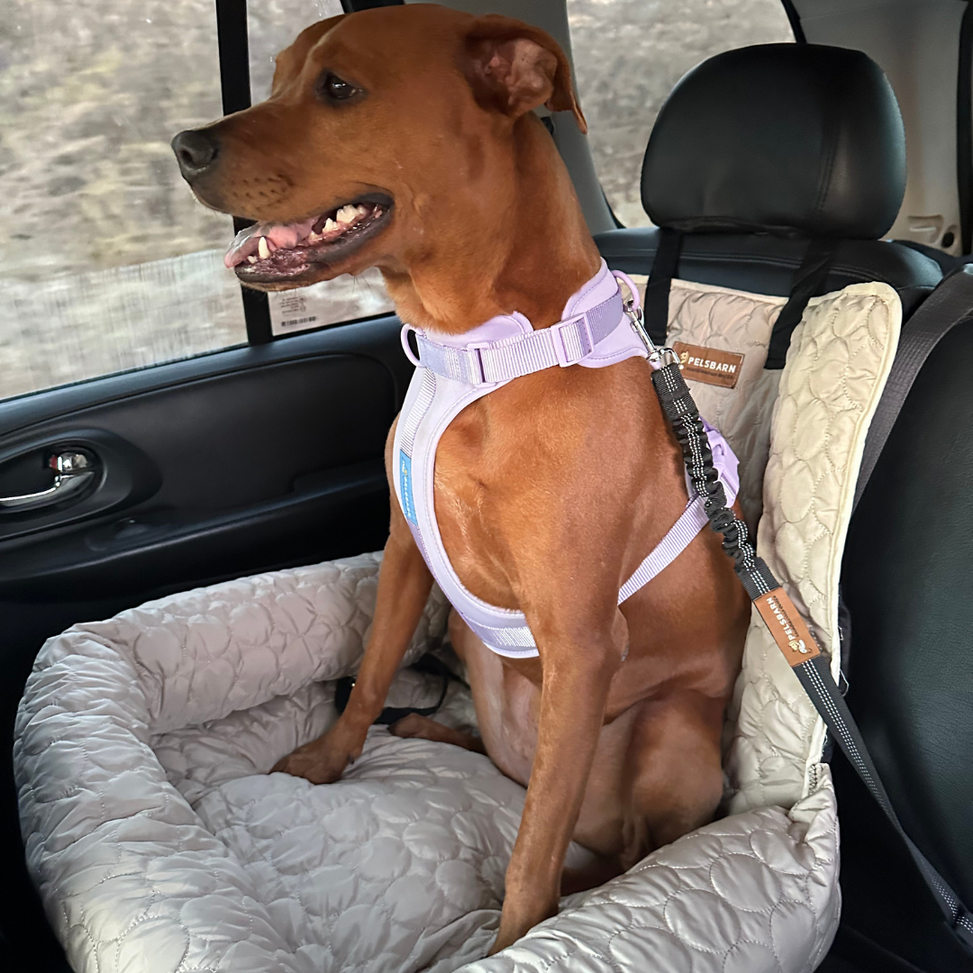 Cooling Car Bed for Dogs| Comfortable & Portable