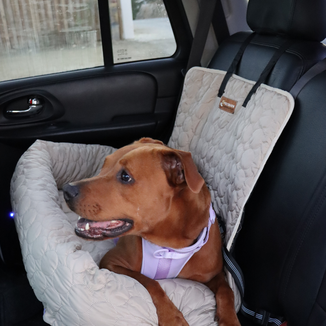 Cooling Car Bed for Dogs| Comfortable & Portable