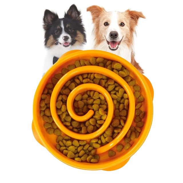 Slow Feeder Dog Bowl | Reduces Bloating | Promotes Healthy Eating