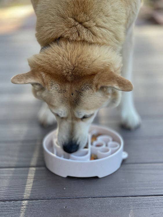 Slow Feeder Bowl | Promotes Healthy Eating | Reduces Bloating and Overeating