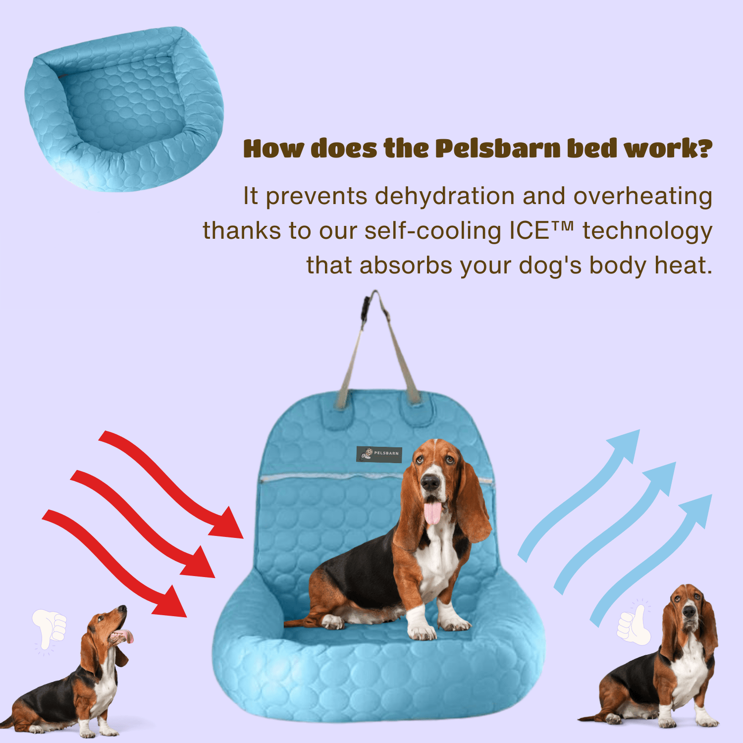 Cooling Car Bed for Dogs| Comfortable & Portable