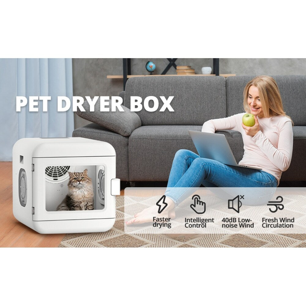 6L Pet Hair Dryer | Quiet Fast Drying | Adjustable Temperature