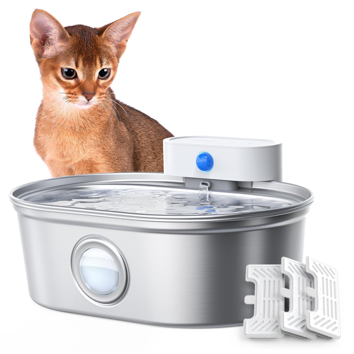 Stainless Steel Cat Water Fountain | Easy Clean