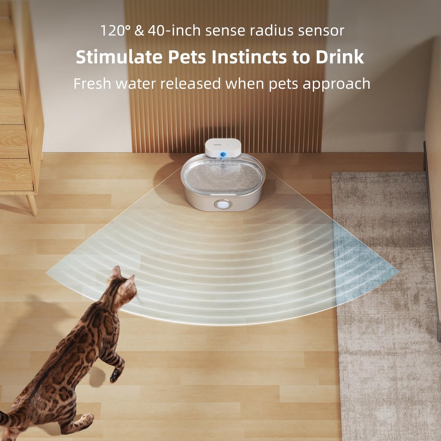 Stainless Steel Cat Water Fountain | Easy Clean