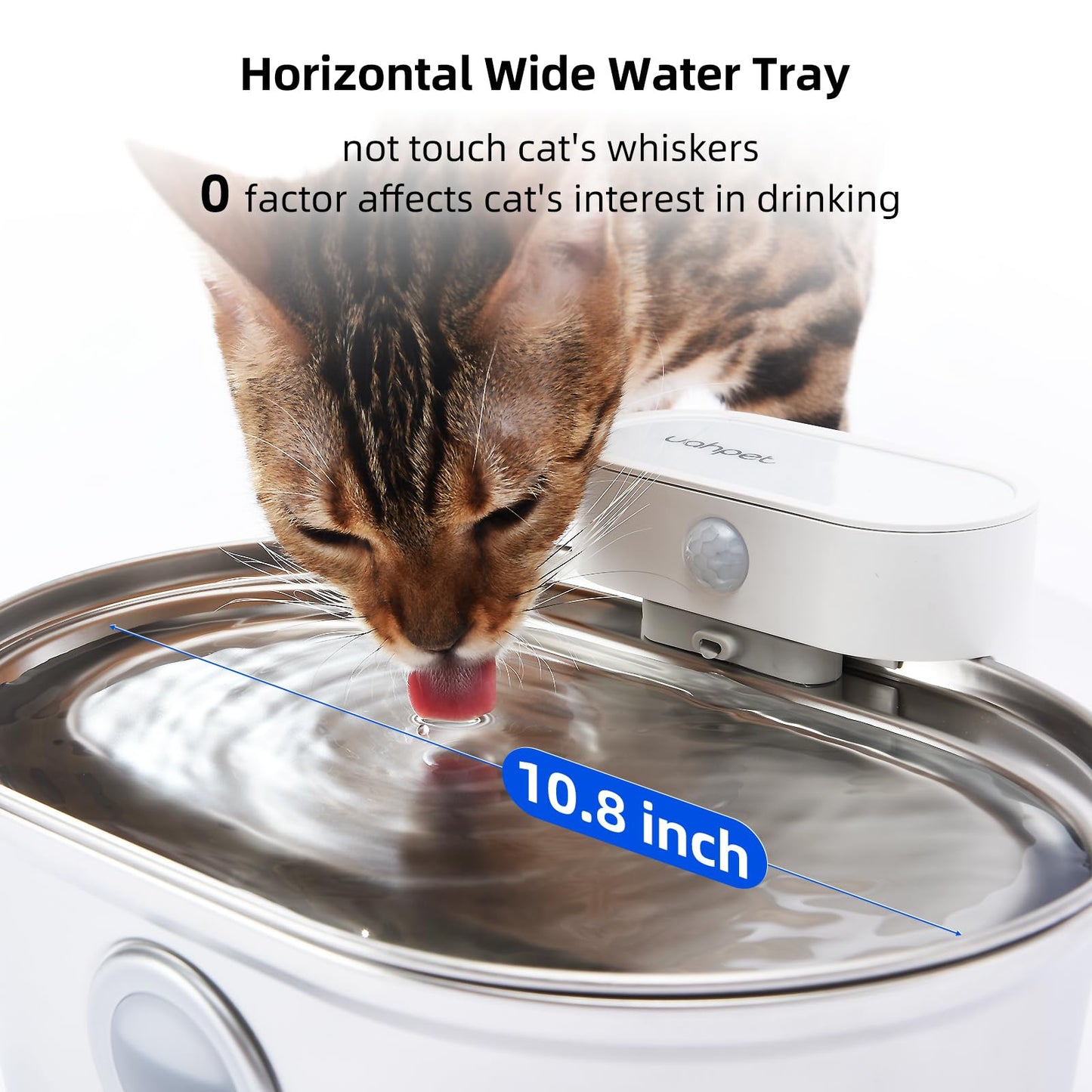 Stainless Steel Cat Water Fountain | Easy Clean