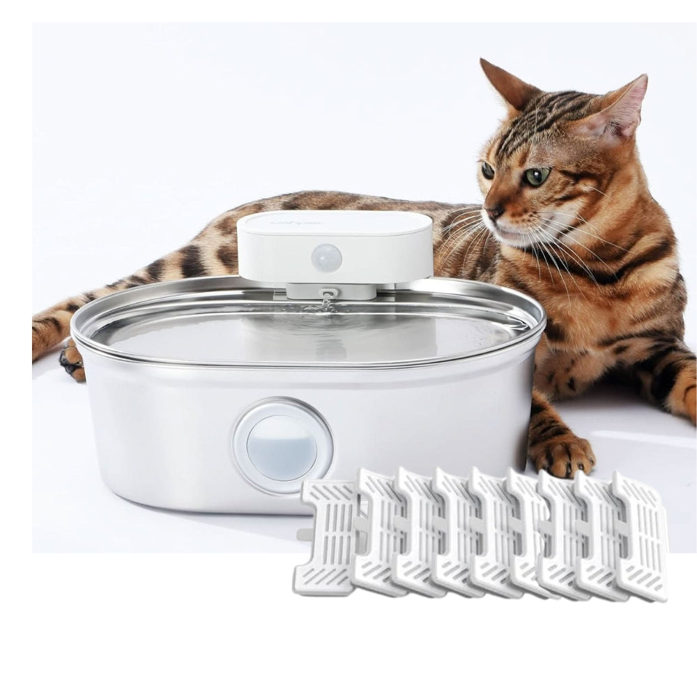 Stainless Steel Cat Water Fountain | Easy Clean