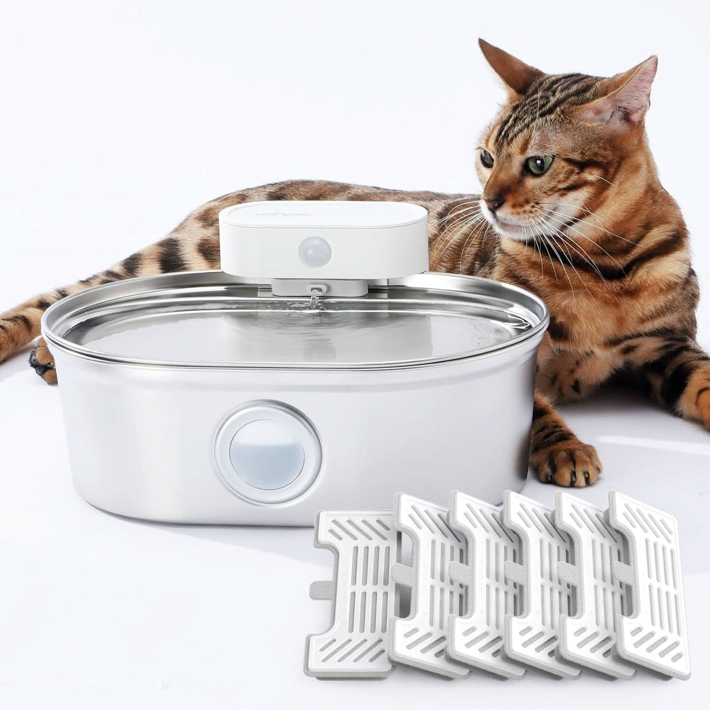 Stainless Steel Cat Water Fountain | Easy Clean
