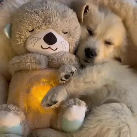 Calming Otter Plush Dog Toy | Soft Cuddly Comfort for Pets