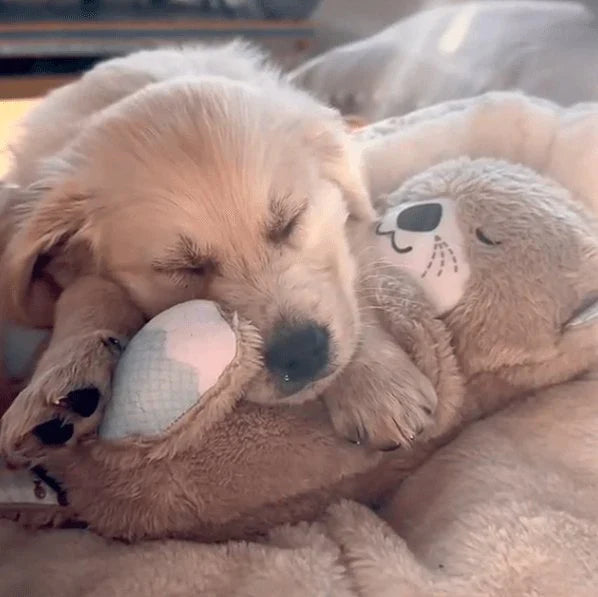 Calming Otter Plush Dog Toy | Soft Cuddly Comfort for Pets