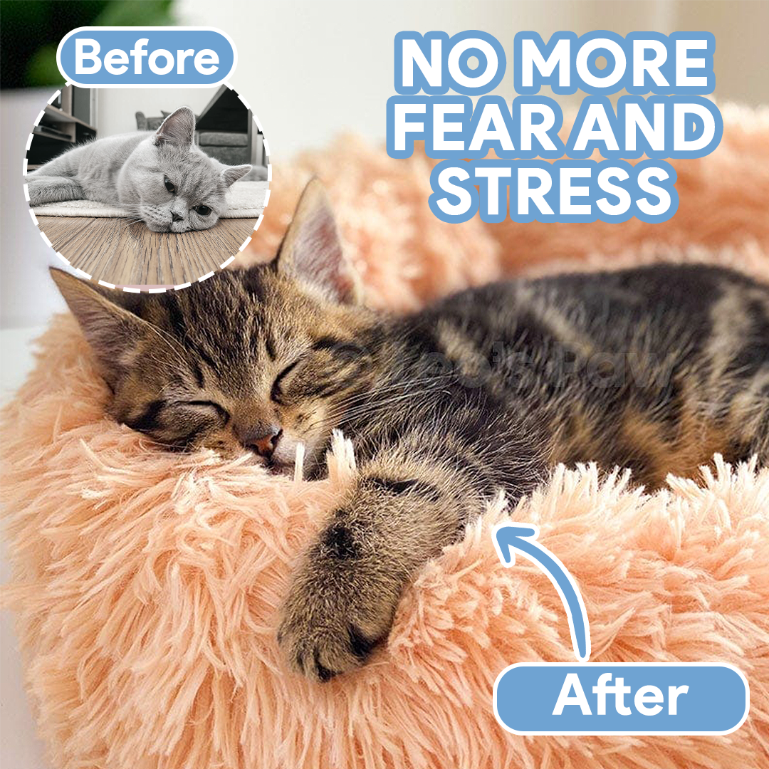 Calming Cat Bed | Cozy Soft Design | Reduces Anxiety