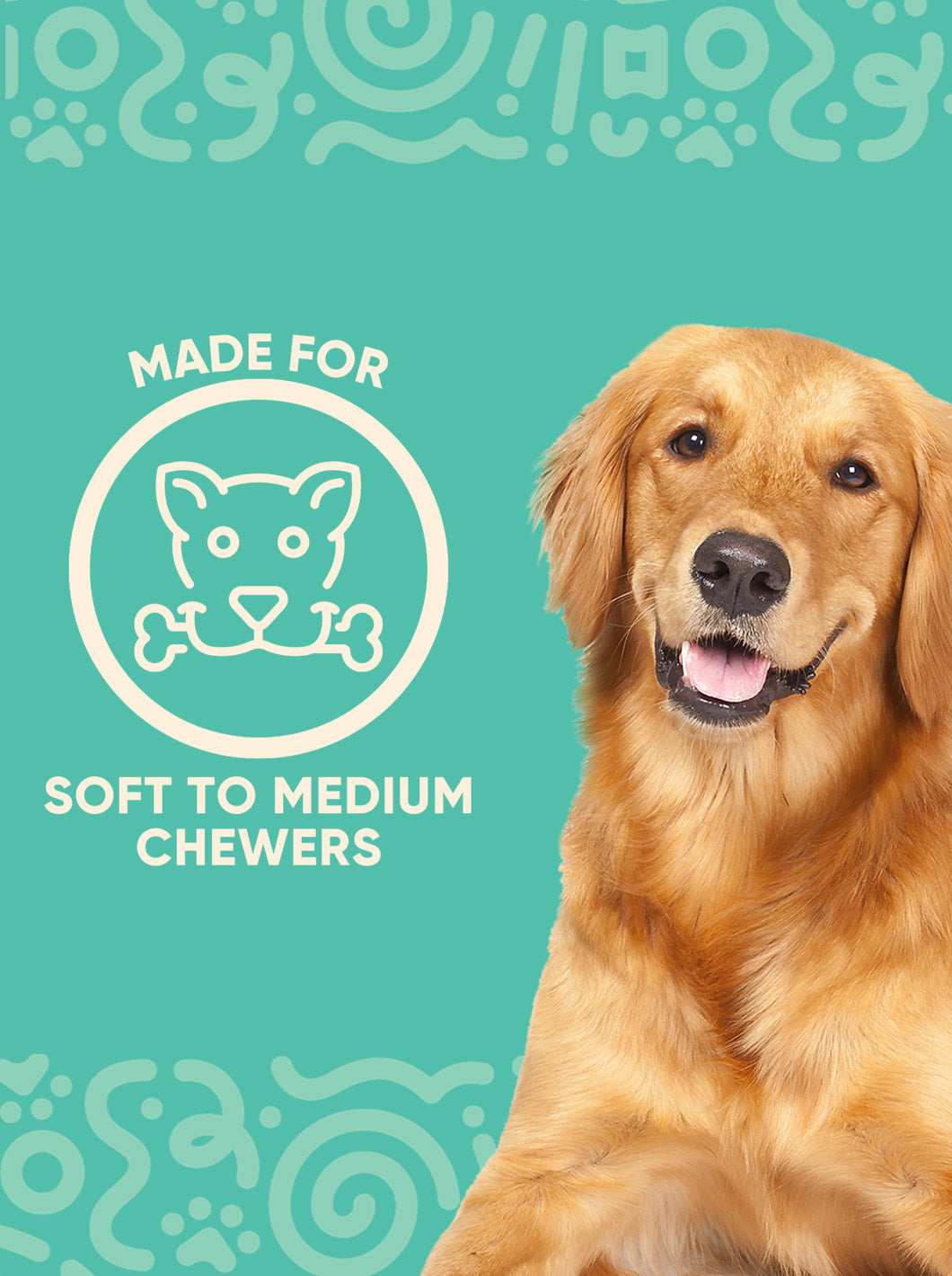 Dog Slow Feeder Bowl | Easy Clean Design | Reduces Waste
