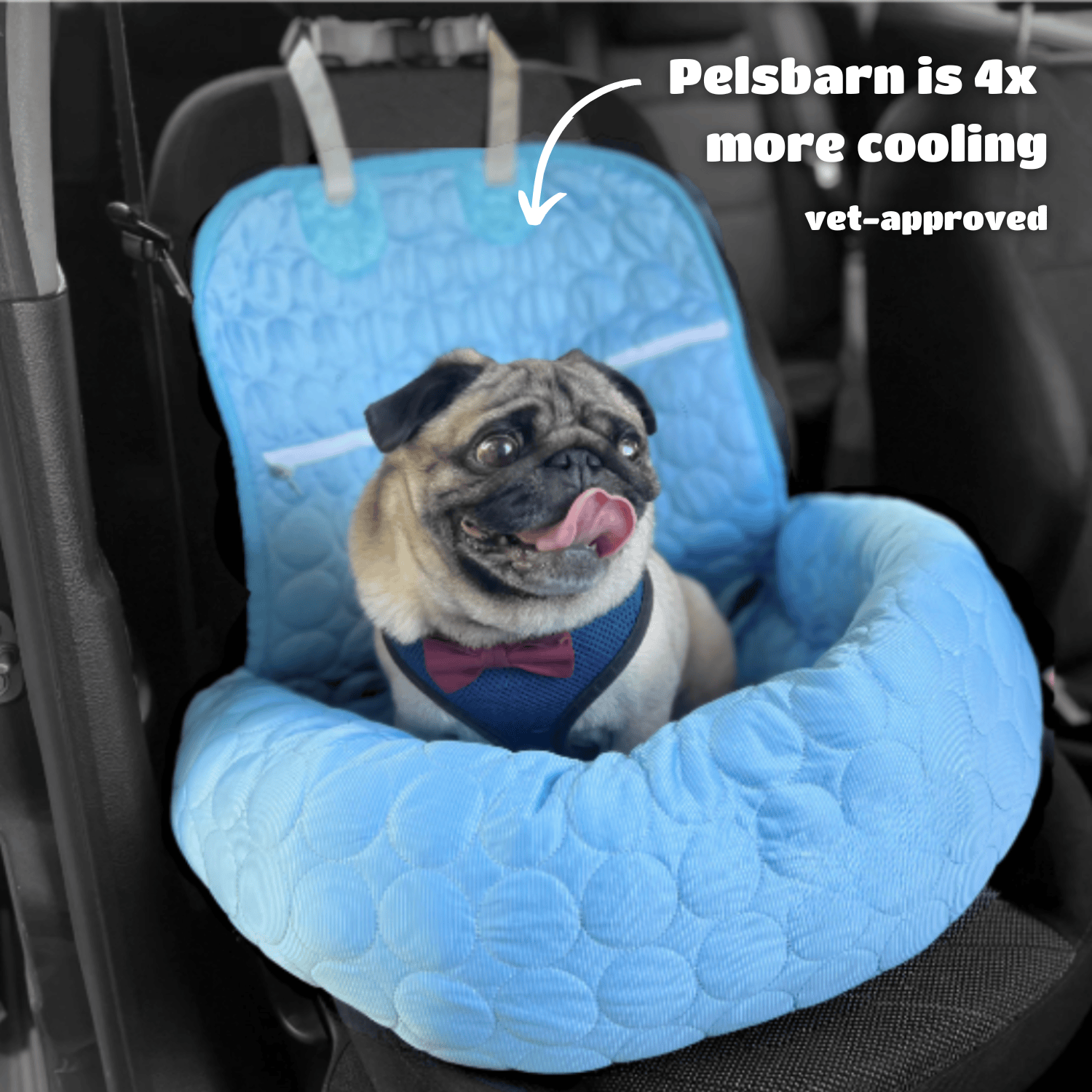 Cooling Car Bed for Dogs| Comfortable & Portable