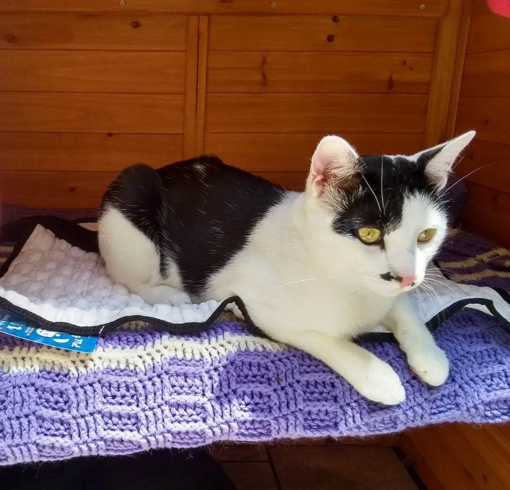 Dog Cooling Mat | Comfortable Relief