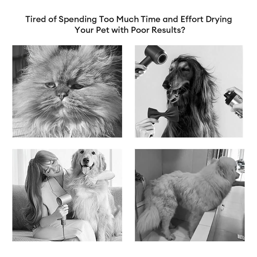 Multifunctional Pet Hair Dryer Brush | Steam Technology | Quick Drying