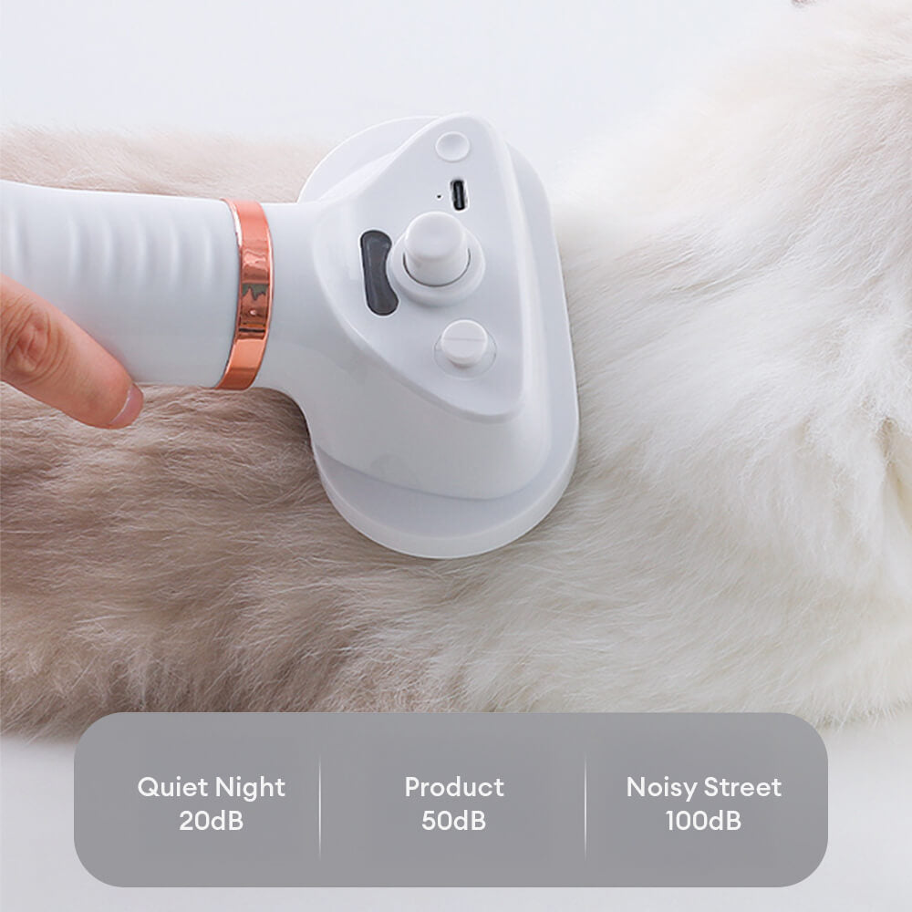 Multifunctional Pet Hair Dryer Brush | Steam Technology | Quick Drying