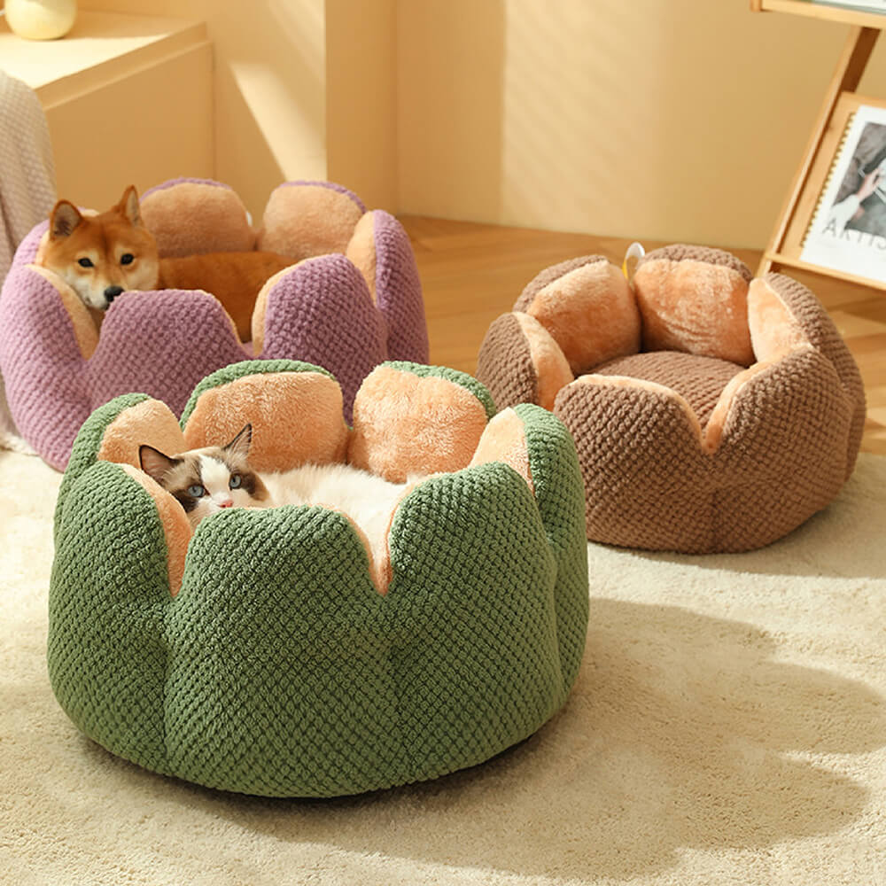 Cactus Shape Pet Bed | Comfy Design | Cozy for Cats and Dogs