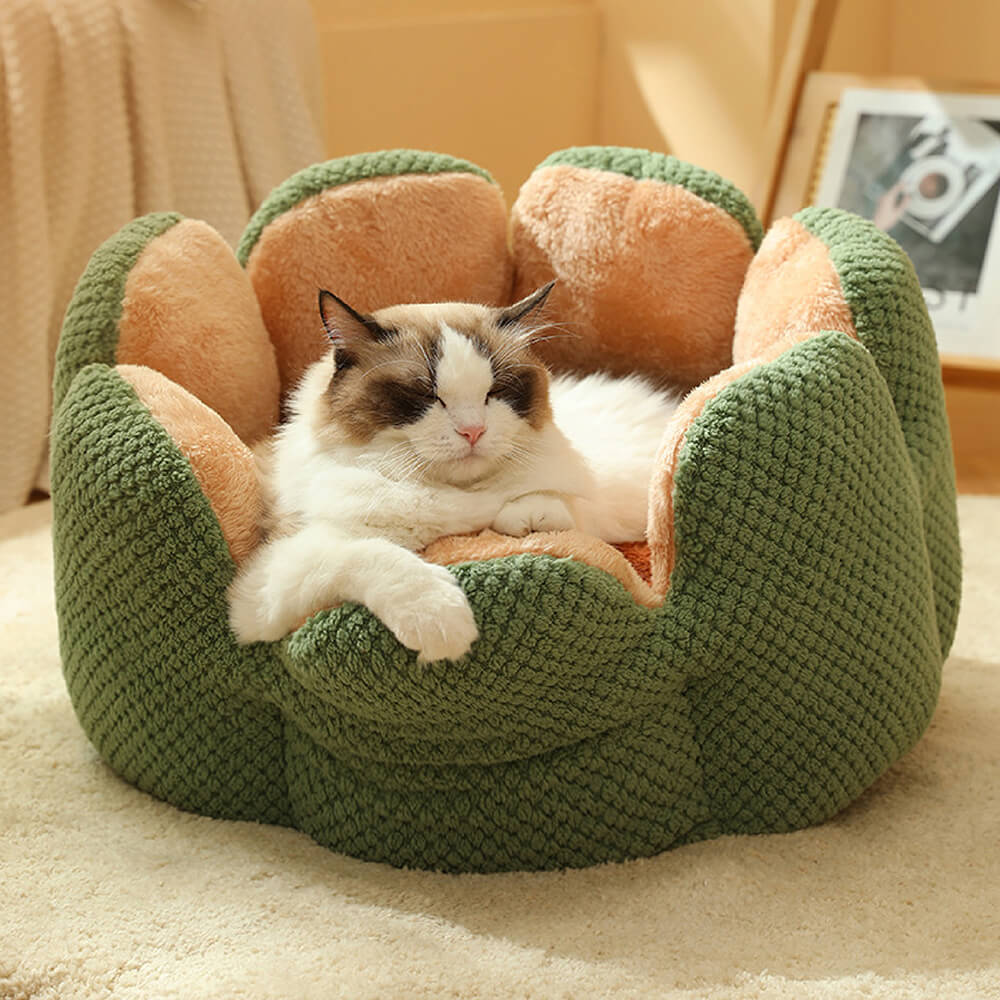 Cactus Shape Pet Bed | Comfy Design | Cozy for Cats and Dogs