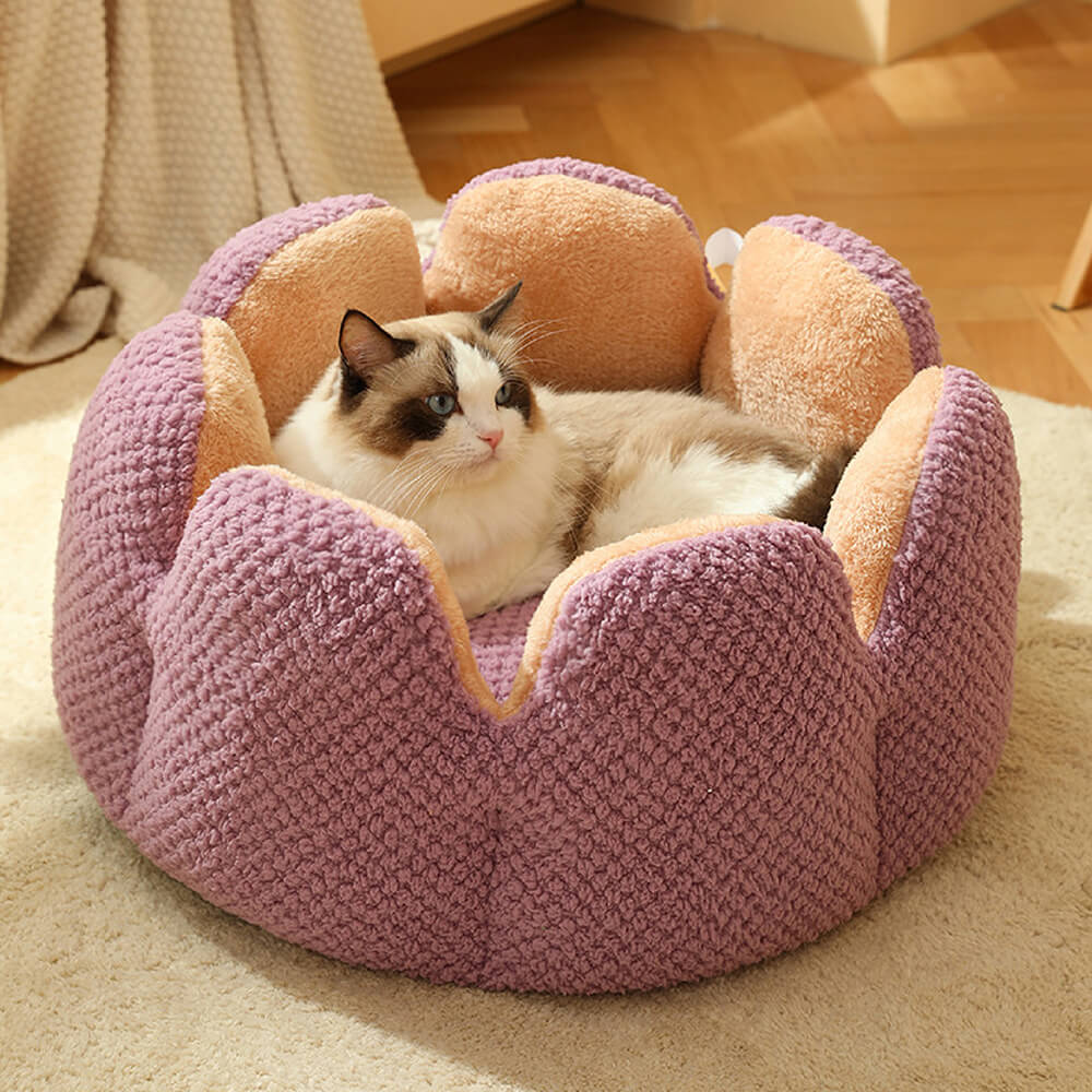 Cactus Shape Pet Bed | Comfy Design | Cozy for Cats and Dogs