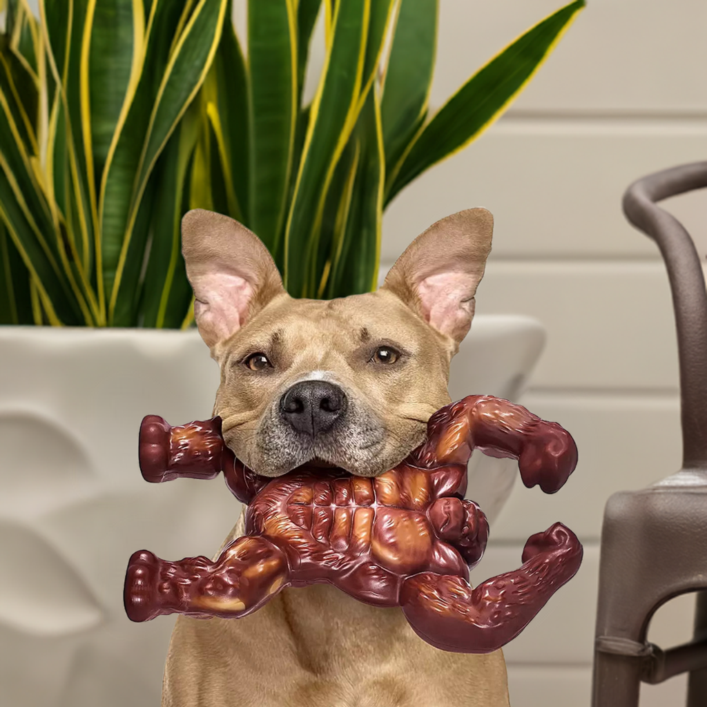 Indestructible Dog Toys | Extreme Tough for Aggressive Chewers | Large