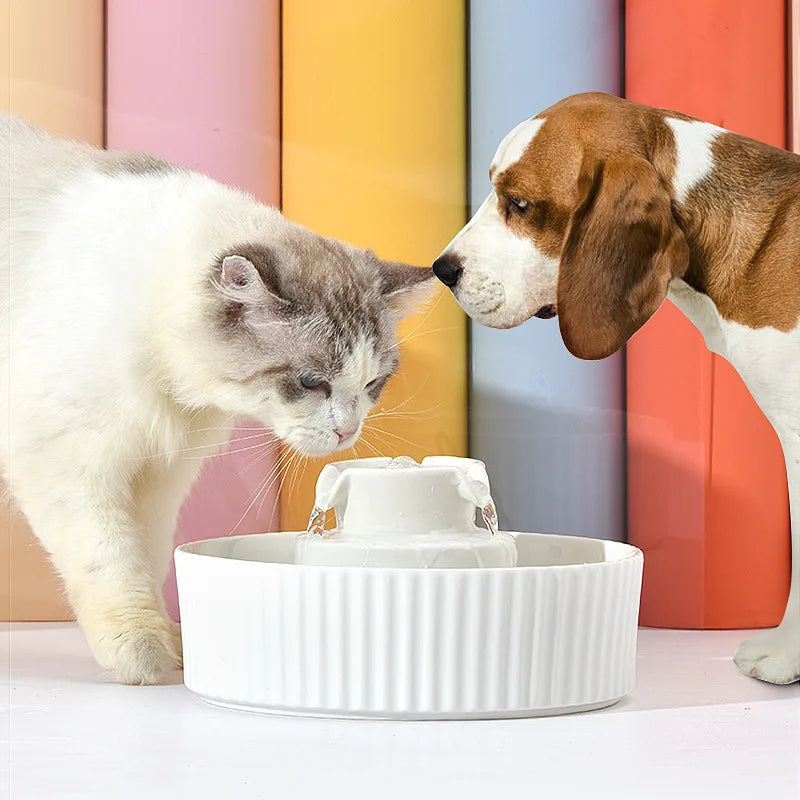 Ceramic Pet Water Dispenser | Automatic Circulation Fountain for Cats Dogs