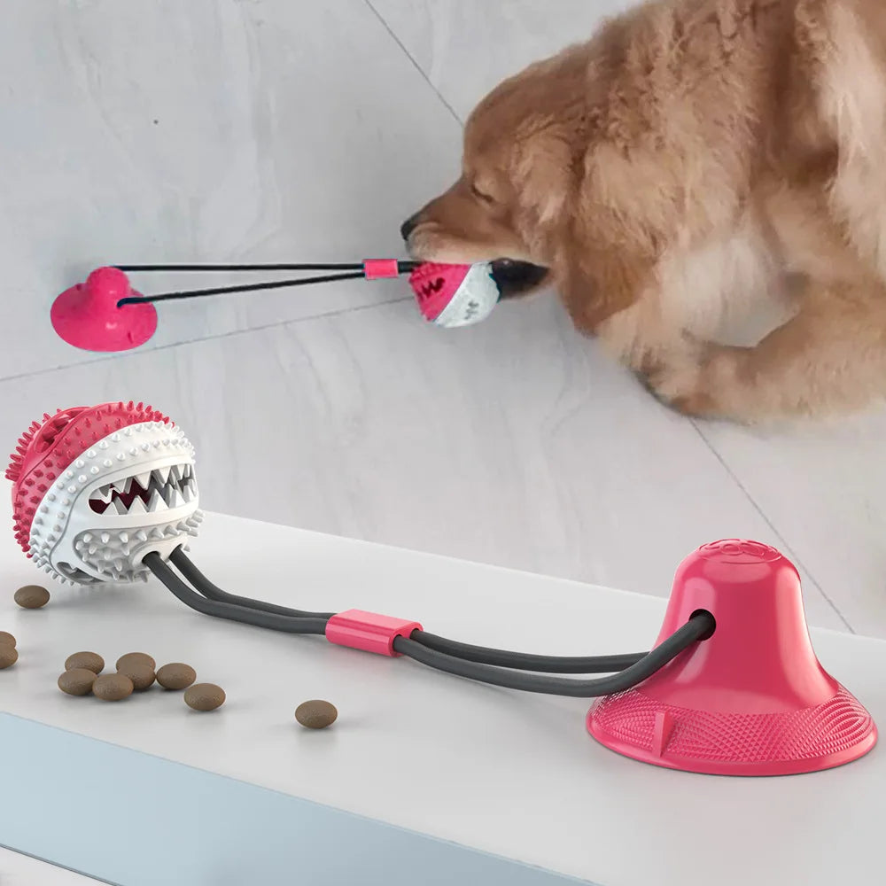 Pull Rope Chew Toy | Strong Suction Cup | Durable Dog Playtime