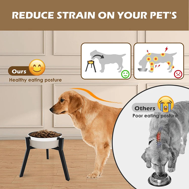 Adjustable Elevated Dog Bowl | Portable Metal Design