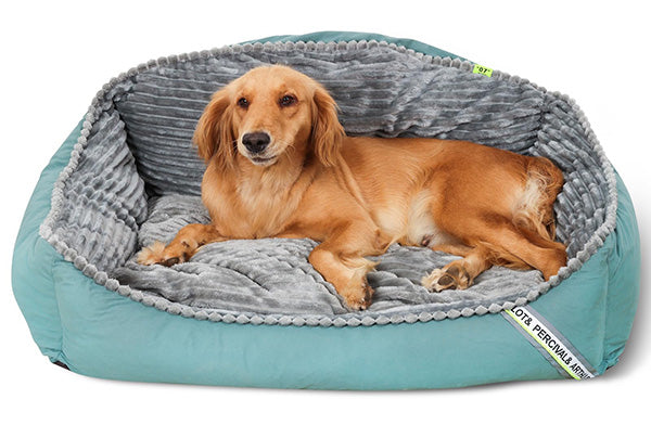 Thickened Warm Dog Bed | All Seasons Comfort | Cozy and Durable