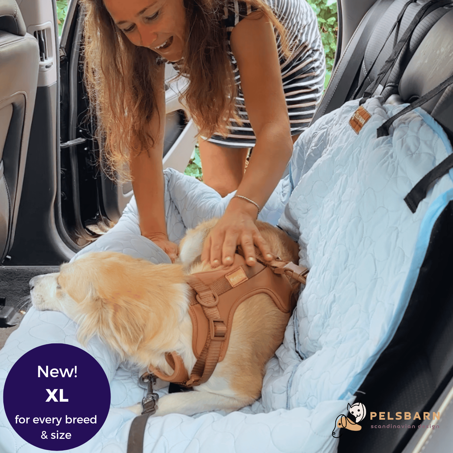 Cooling Car Bed for Dogs| Comfortable & Portable