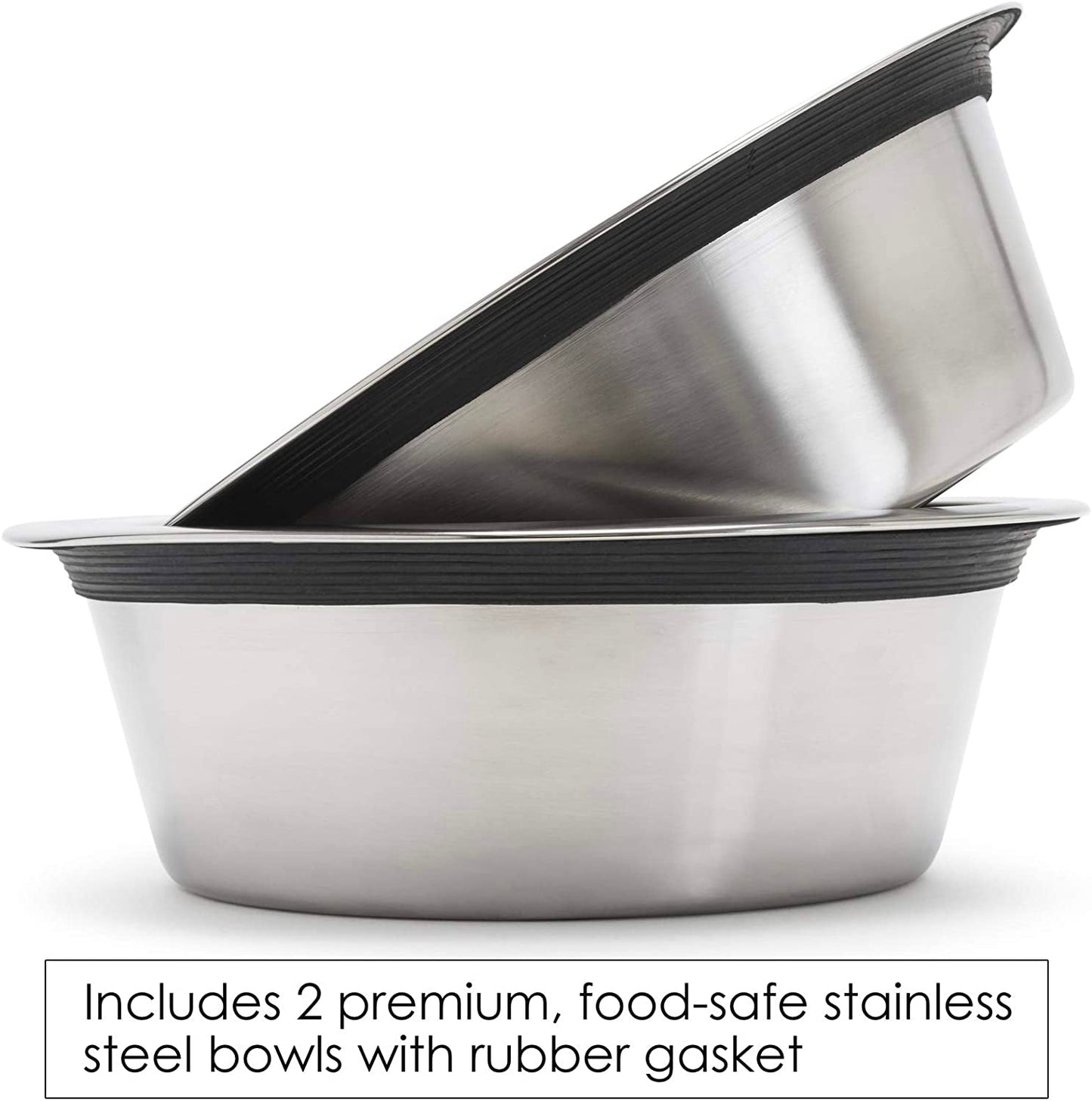 Elevated Double Dog Bowl