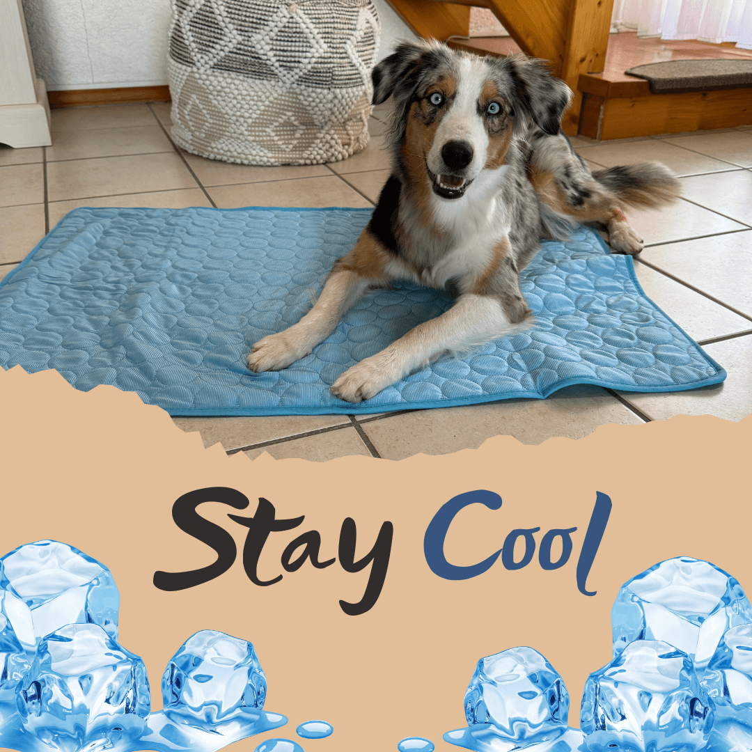 Cooling Dog Mat | Breathable | Keeps Pets Comfortable