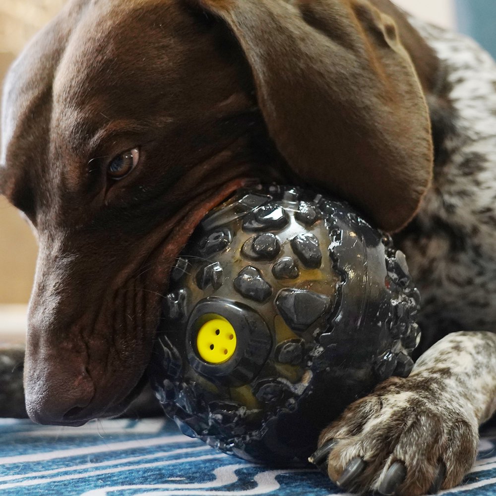Meteorite Rolling Giggling Dog Ball | Interactive Fun | Durable Design