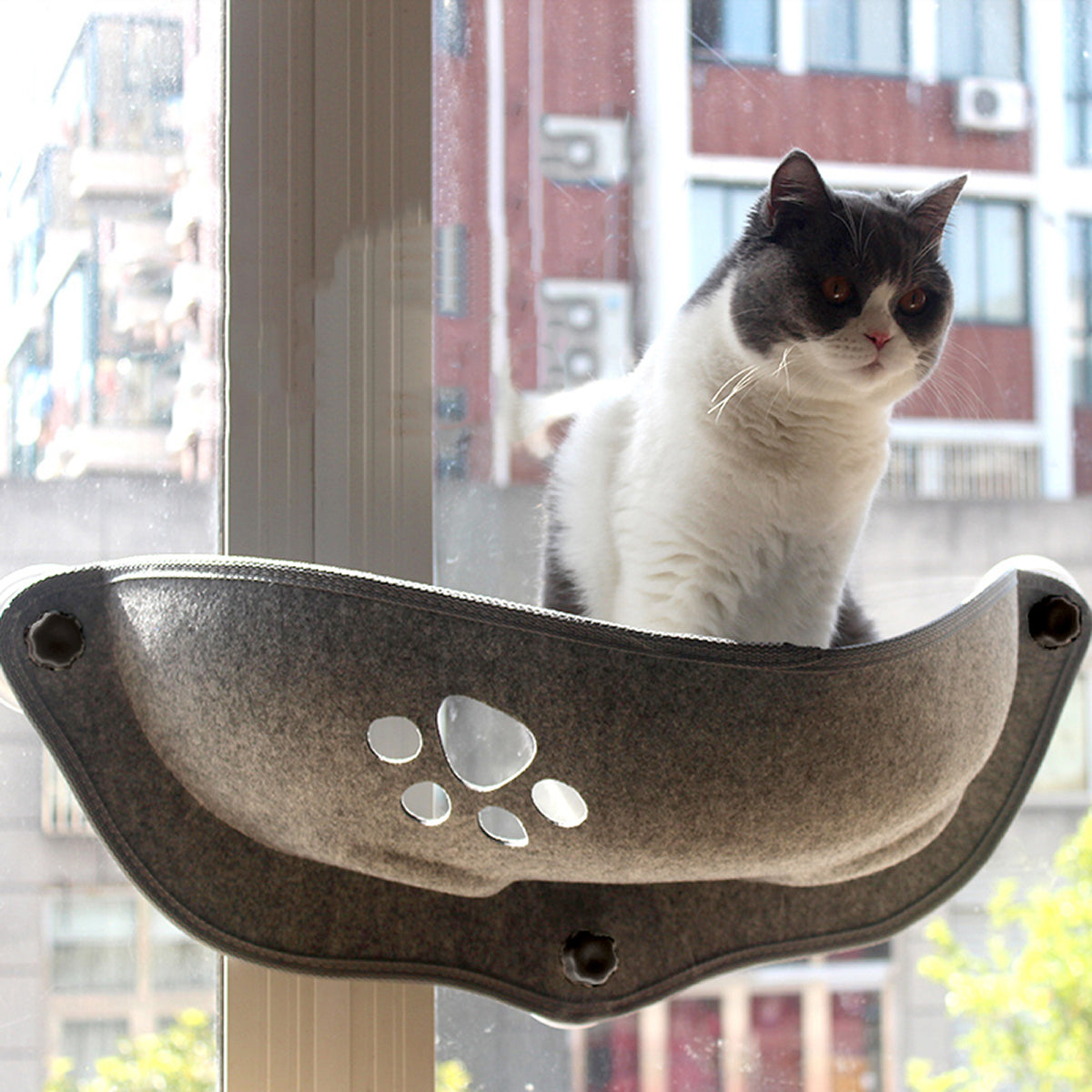 Cat Window Hammock Bed | Soft Suction Cup | Supports Up to 20kg