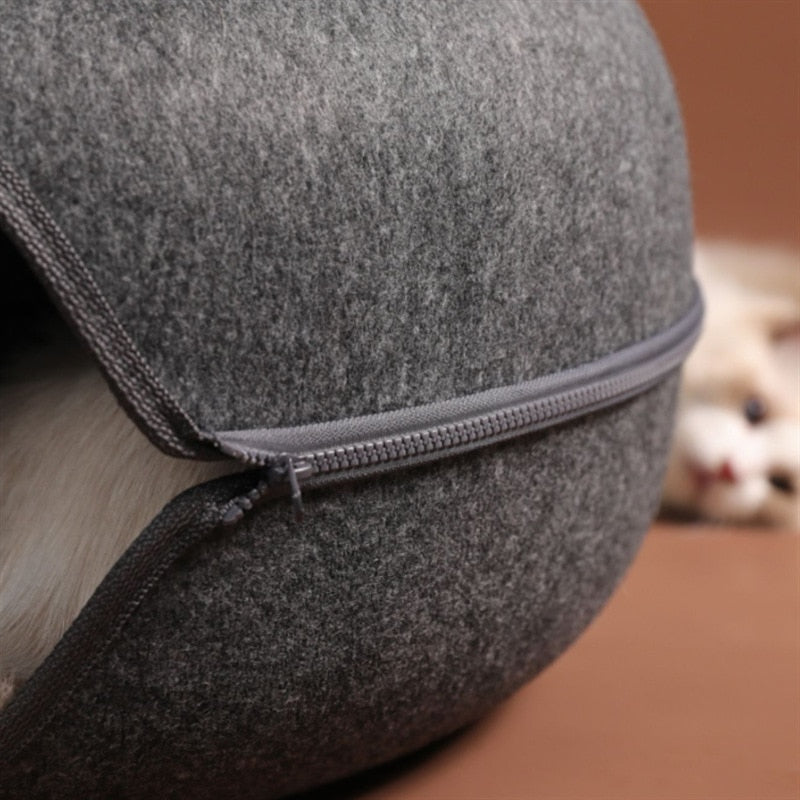 3-in-1 Interactive Cat Bed | Cozy House and Fun Tunnel