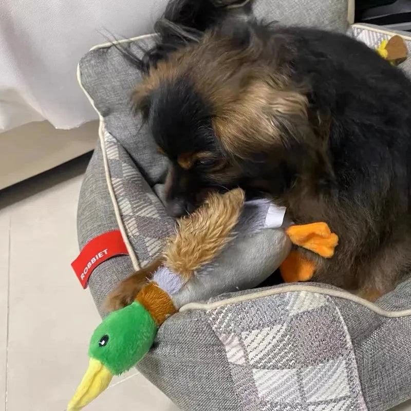 Plush Duck Squeaky Toy | Interactive Chew Toy for Small Medium Dogs