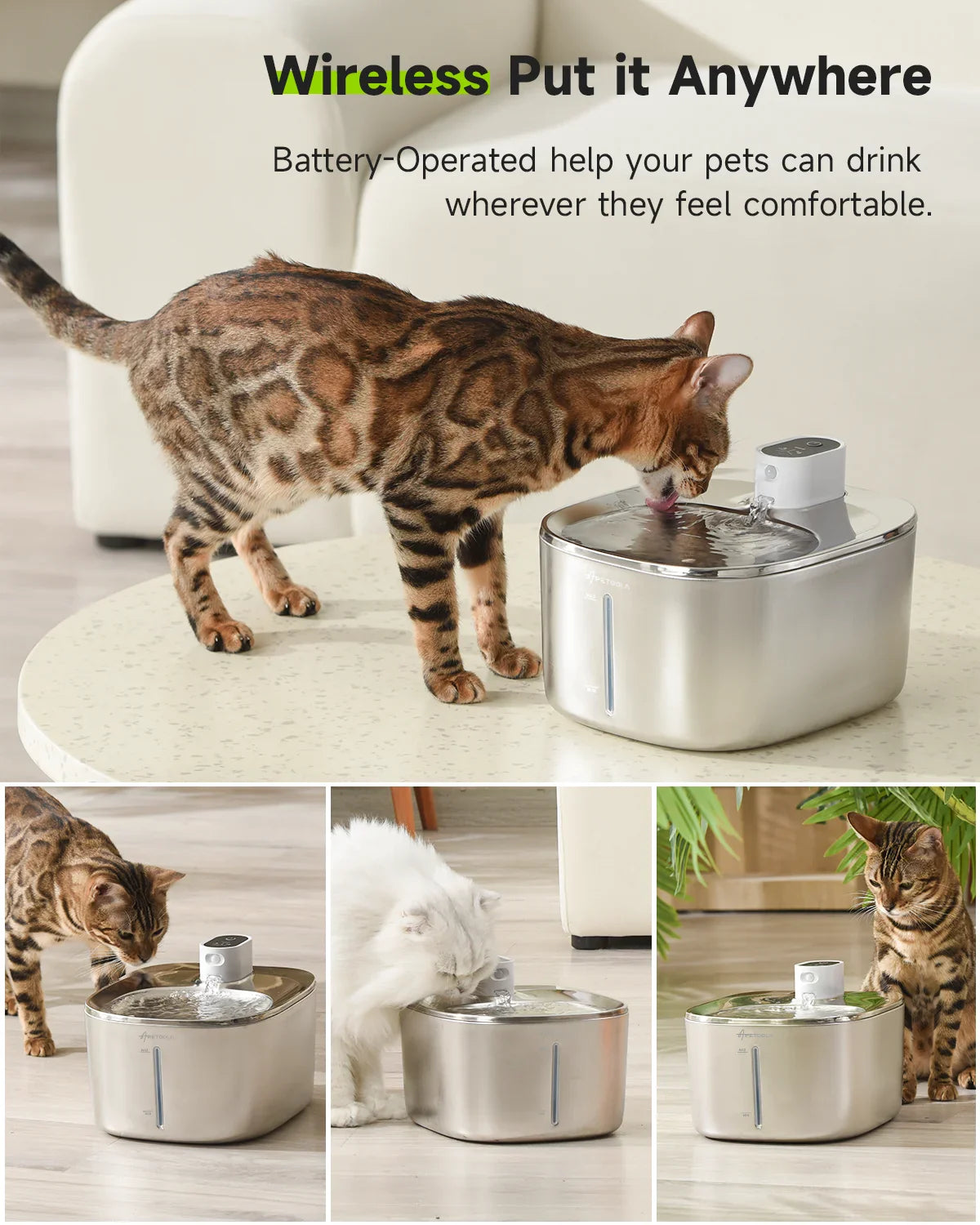 Auto Sensor Drinking Fountain