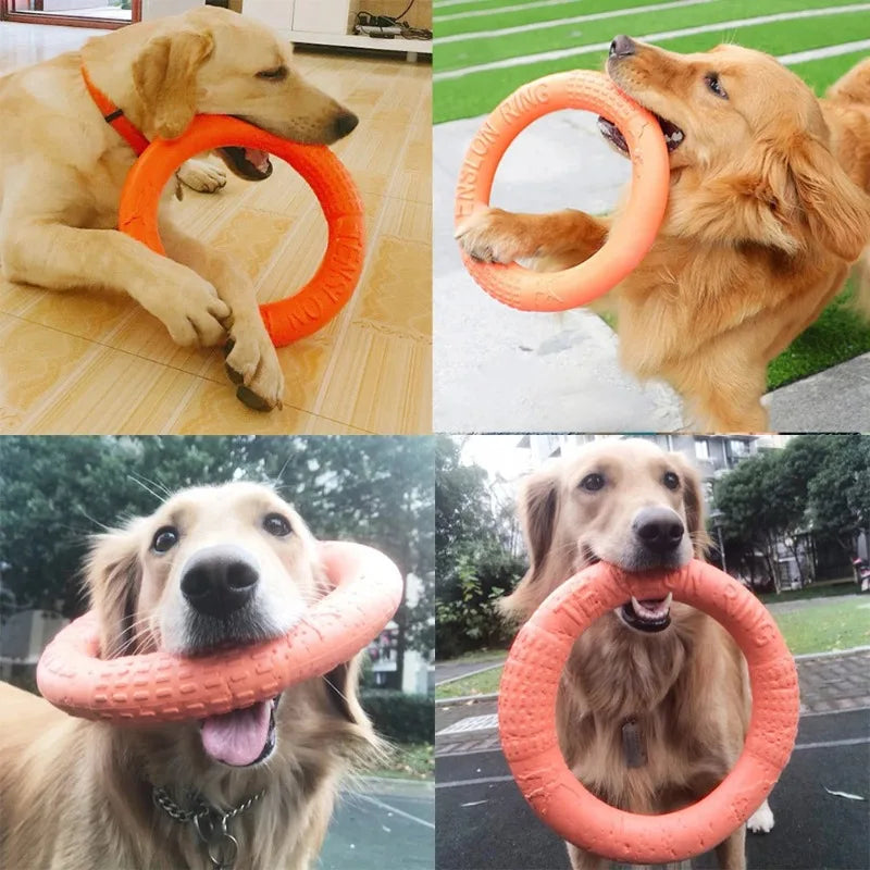 Dog Ring Toy | Indestructible Chew Toy | Floating Fetch Training Tool