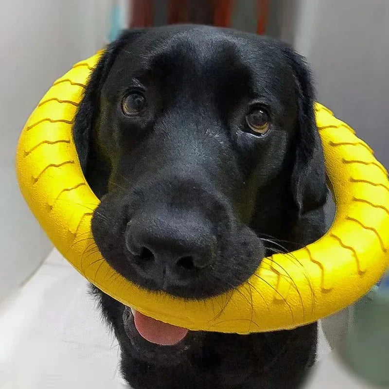 Dog Ring Toy | Indestructible Chew Toy | Floating Fetch Training Tool