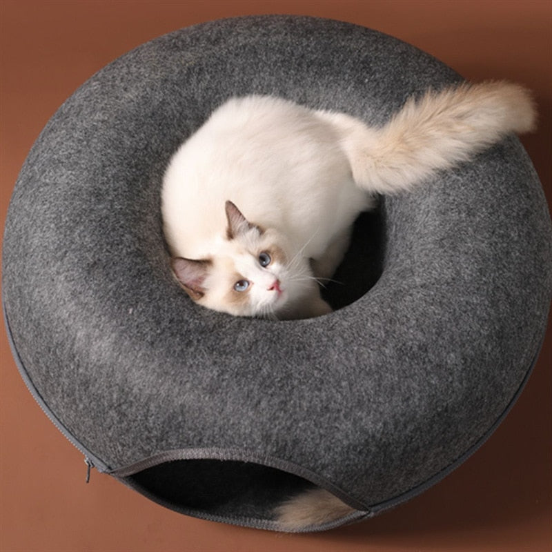 3-in-1 Interactive Cat Bed | Cozy House and Fun Tunnel