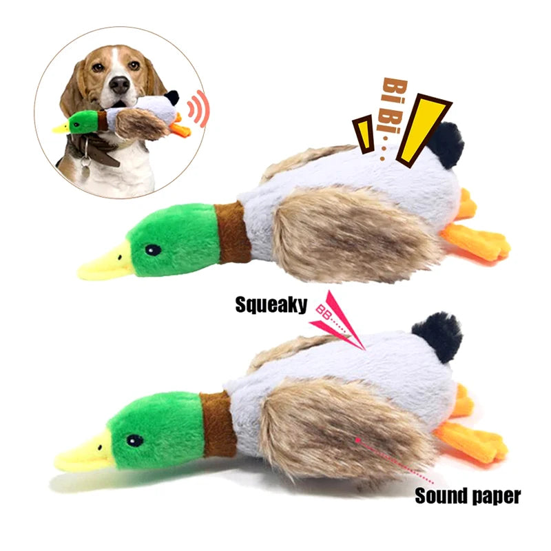 Plush Duck Squeaky Toy | Interactive Chew Toy for Small Medium Dogs