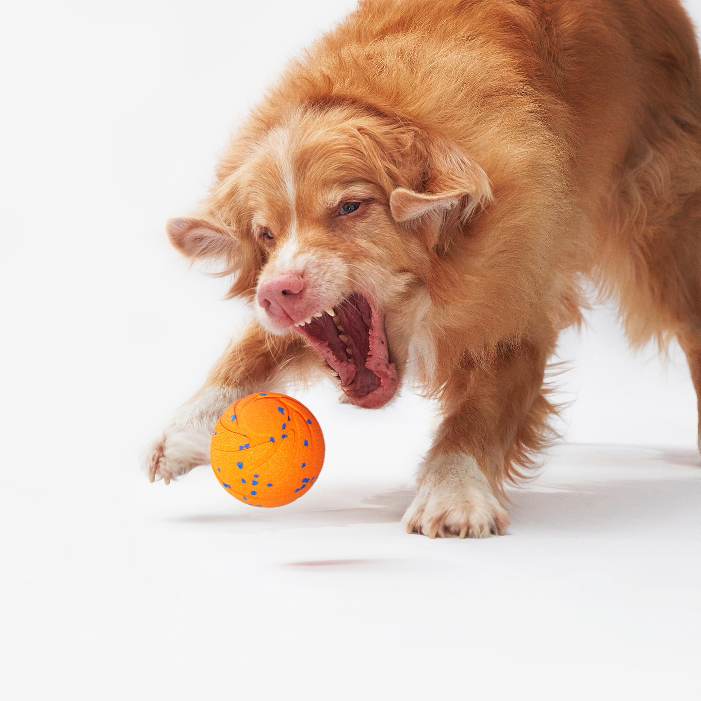 Ball Interactive Toy | Self-Rolling | Engaging for Pets