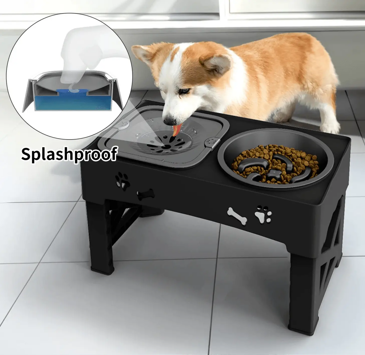 Ergonomic Dog Feeder | Adjustable Height | Reduces Neck Strain