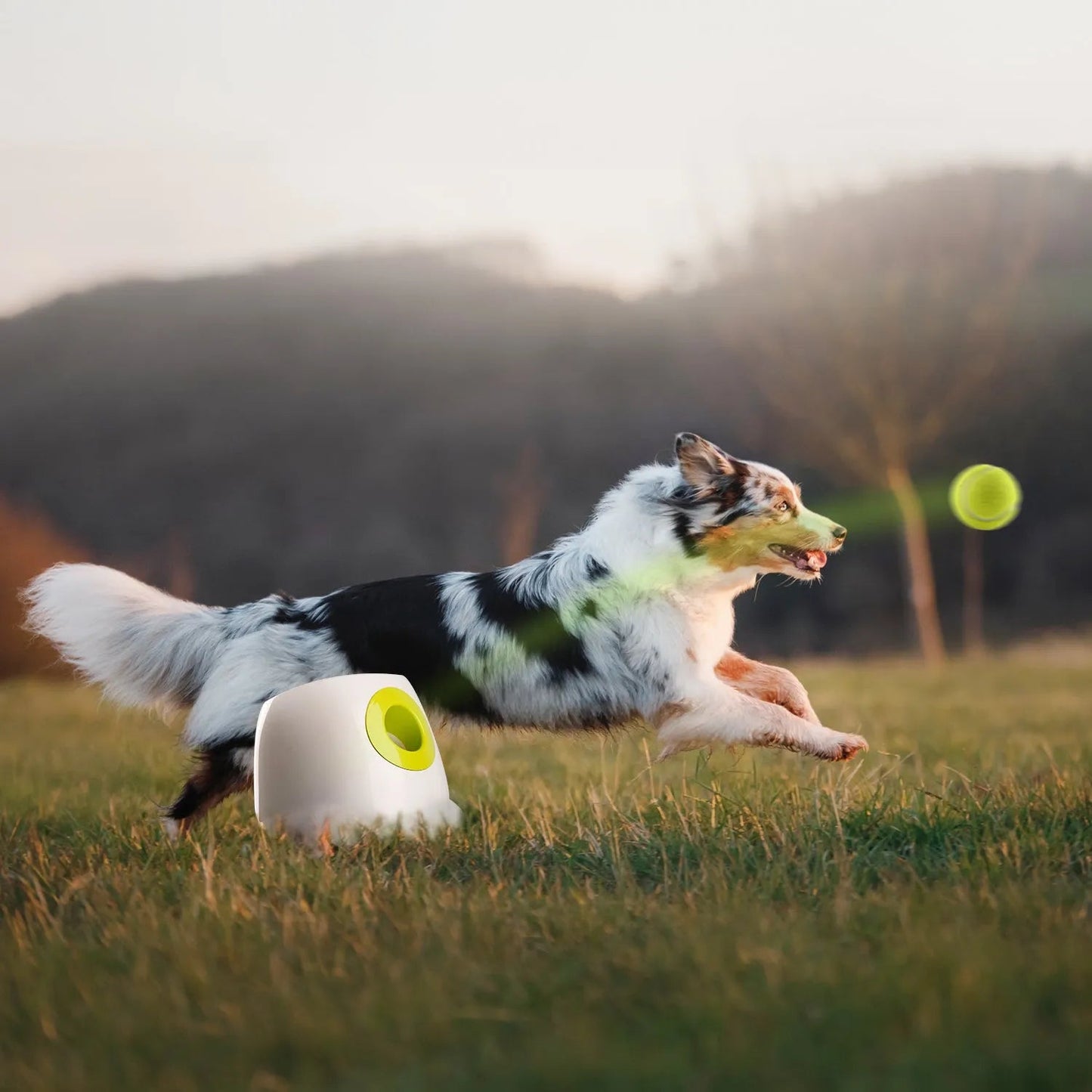 Hyper Fetch Automatic Ball Launcher | Ideal for Large Dogs | Fun Play
