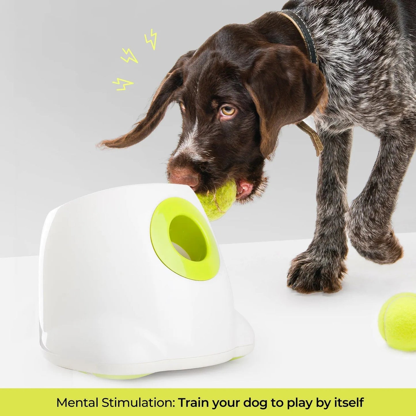 Hyper Fetch Automatic Ball Launcher | Ideal for Large Dogs | Fun Play